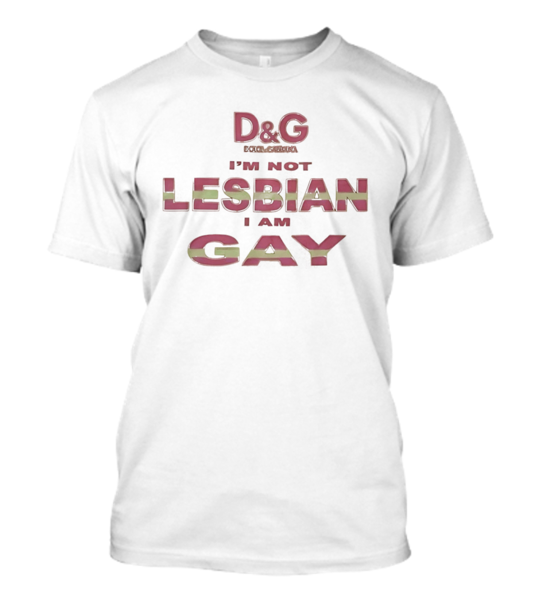 D&G I'm Not Lesbian I Am Gay LGBT Pride T-Shirt