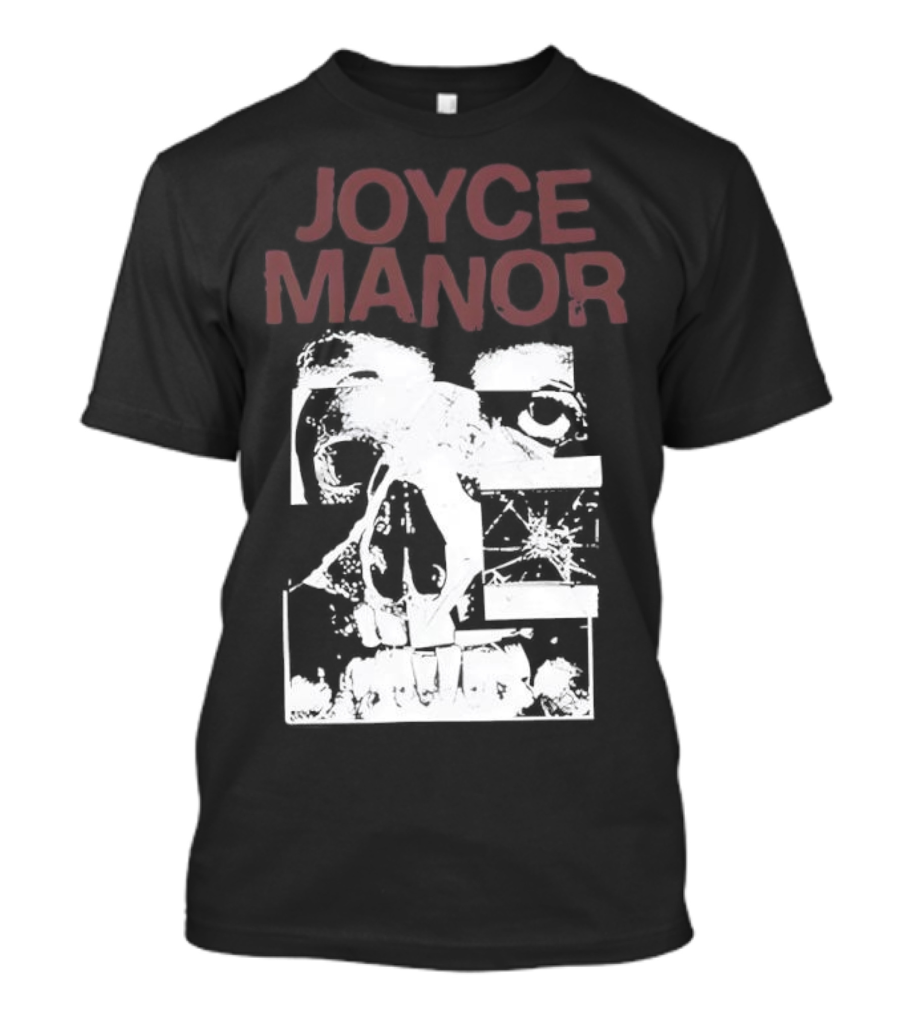 JOYCE MANOR SKULLS BAND MERCHANDISE T-Shirt