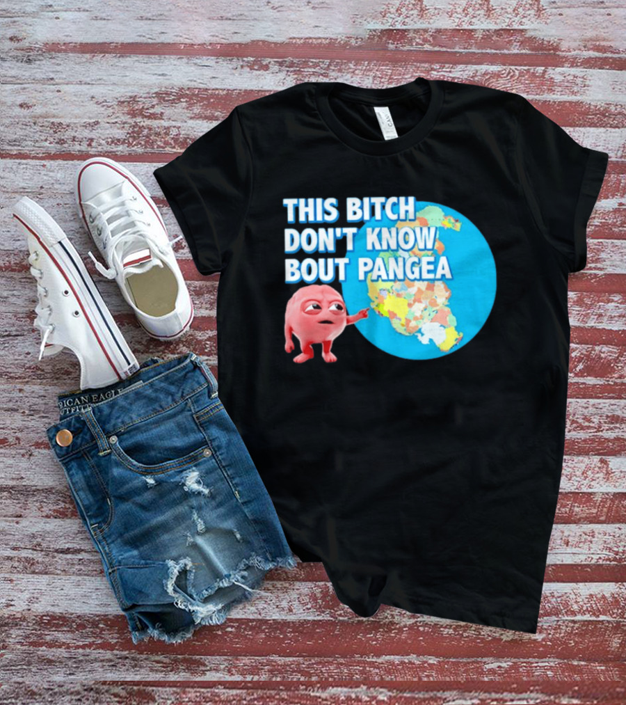 This Bitch Don't Know Bout Pangea Brain Meme Map T-Shirt