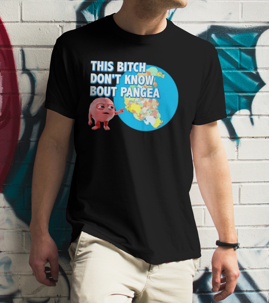 This Bitch Don't Know Bout Pangea Brain Meme Map T-Shirt