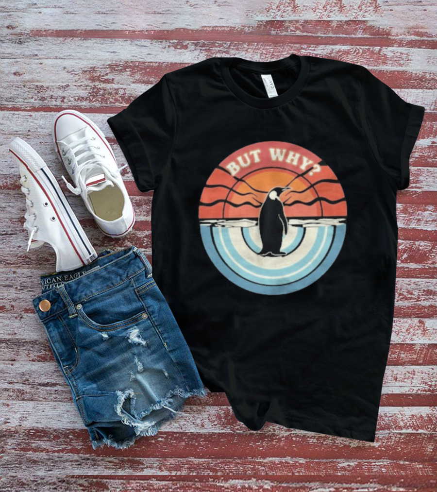 But Why Penguin Vintage Sunset Retro Ocean Waves T-Shirt