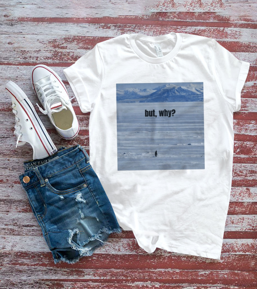 But Why Penguin On Ice With Mountain T-Shirt