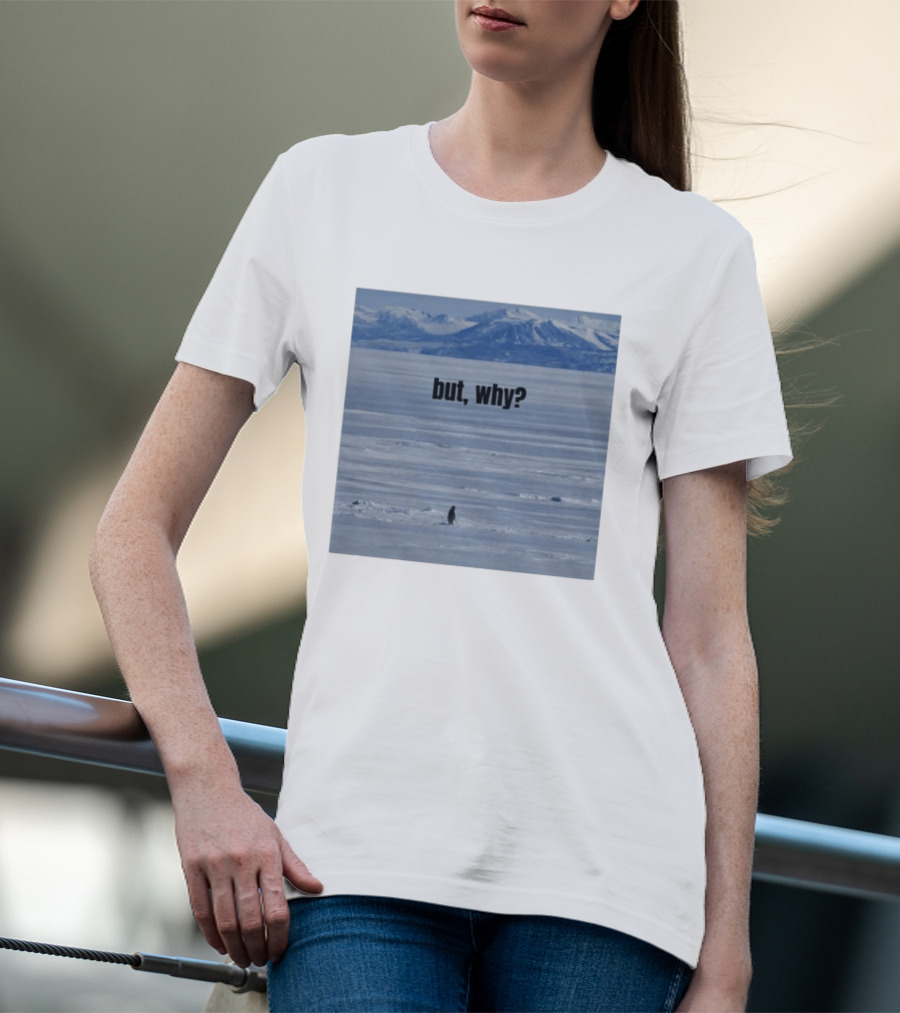 But Why Penguin On Ice With Mountain T-Shirt