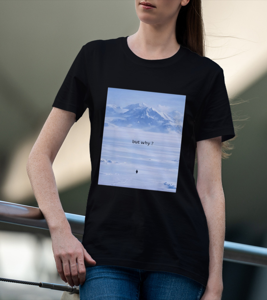 Penguin But Why Meme Snowy Mountains Motivational Scene T-Shirt
