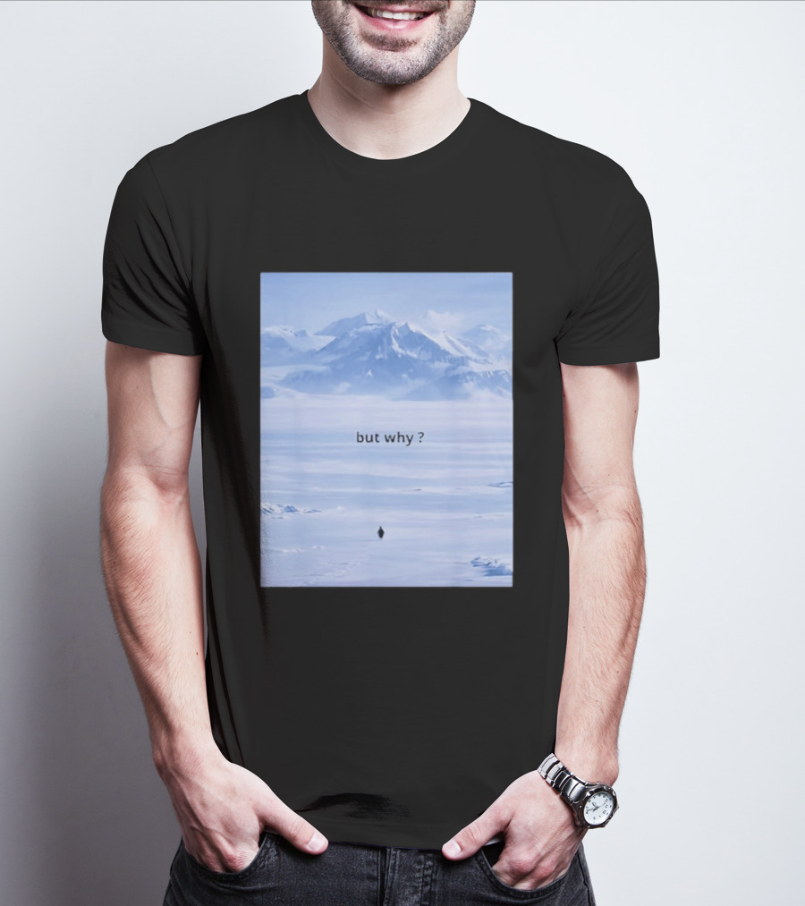 Penguin But Why Meme Snowy Mountains Motivational Scene T-Shirt