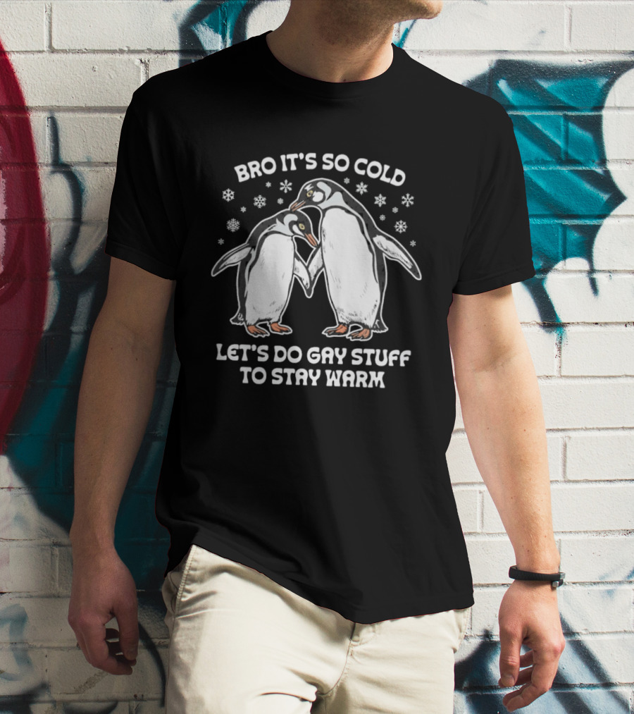 Bro It's So Cold Let's Do Gay Stuff To Stay Warm Penguins Snowflakes T-Shirt
