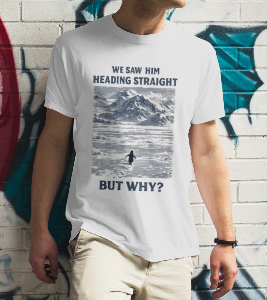 We Saw Him Heading Straight But Why Penguin Mountain Meme T-Shirt