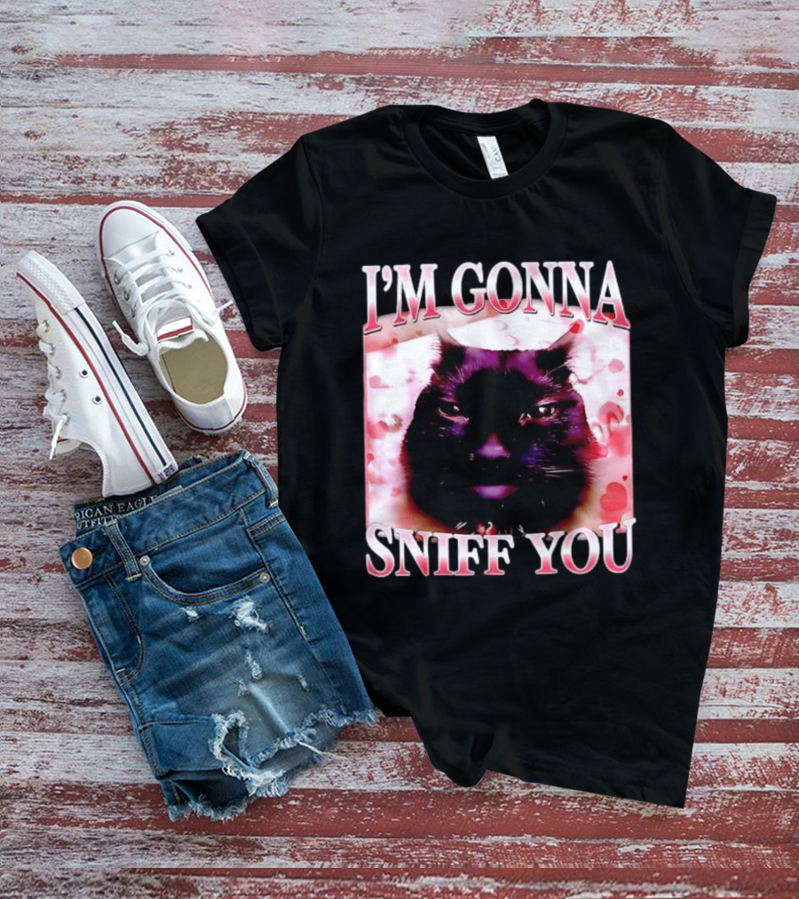 I'm Gonna Sniff You Cat Meme Valentine Aesthetic T-Shirt