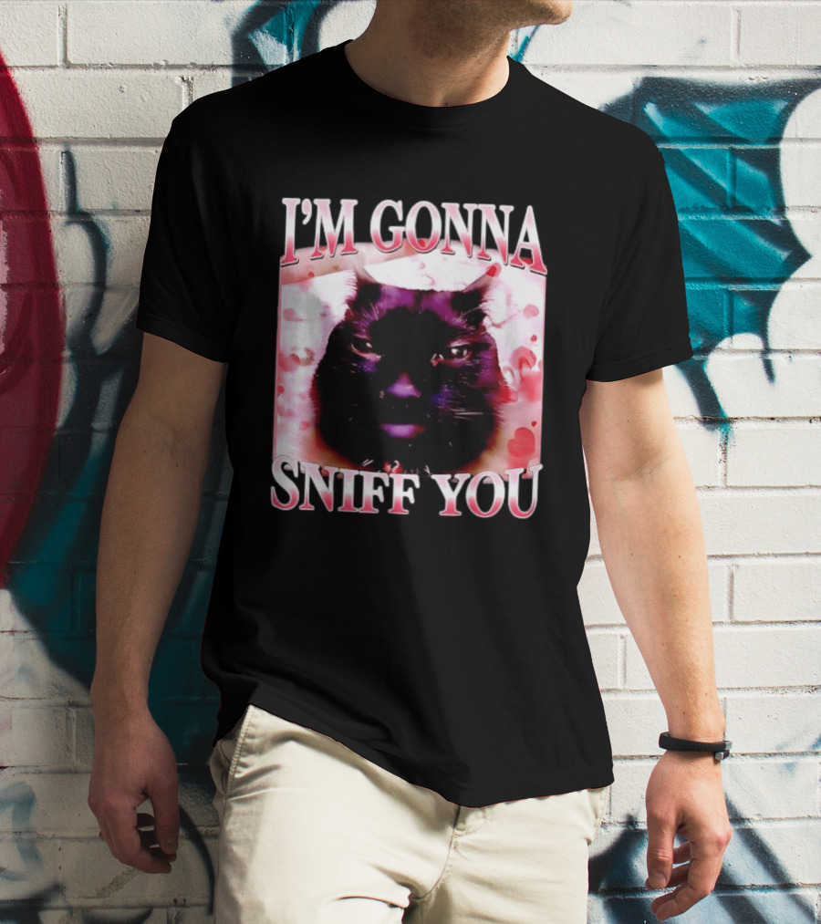 I'm Gonna Sniff You Cat Meme Valentine Aesthetic T-Shirt