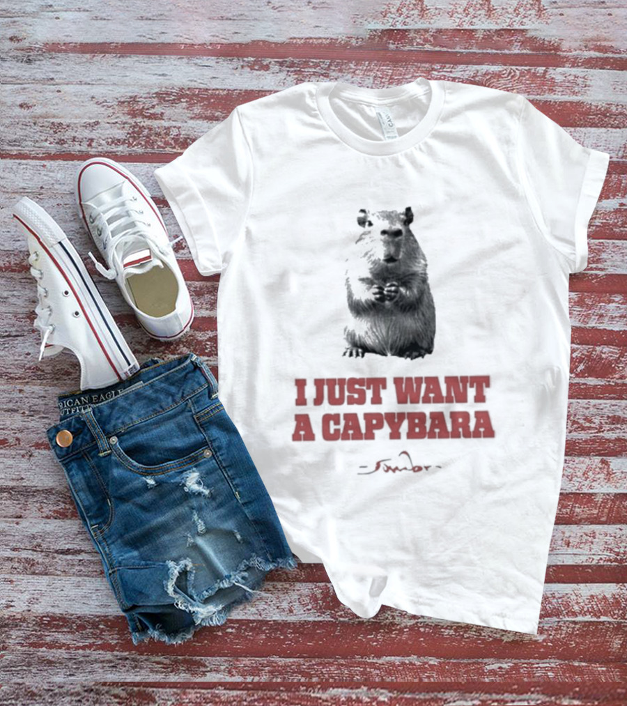 I Just Want A Capybara Dark T-Shirt