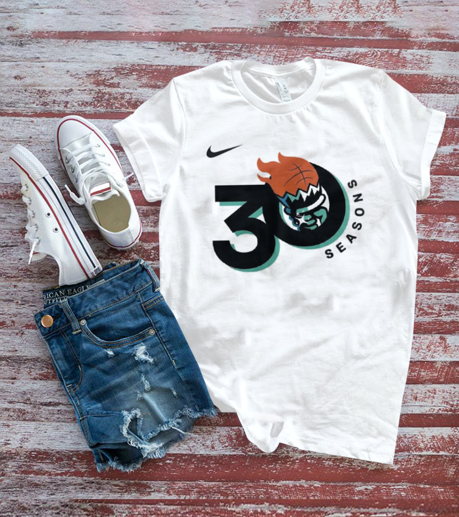 Nike New York Liberty 30 Seasons Basketball T-Shirt