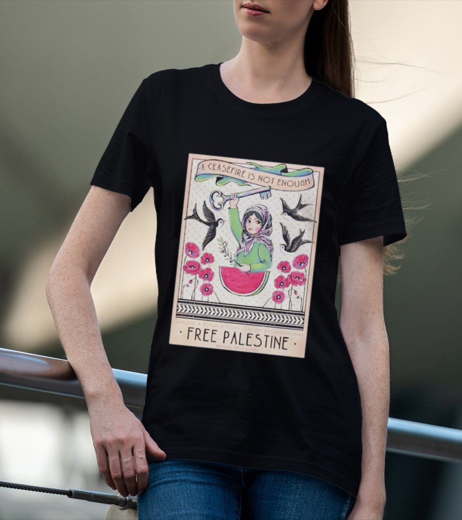 A Ceasefire Is Not Enough Free Palestine Sanction And Dismantle Israel End The Occupation Now T-Shirt