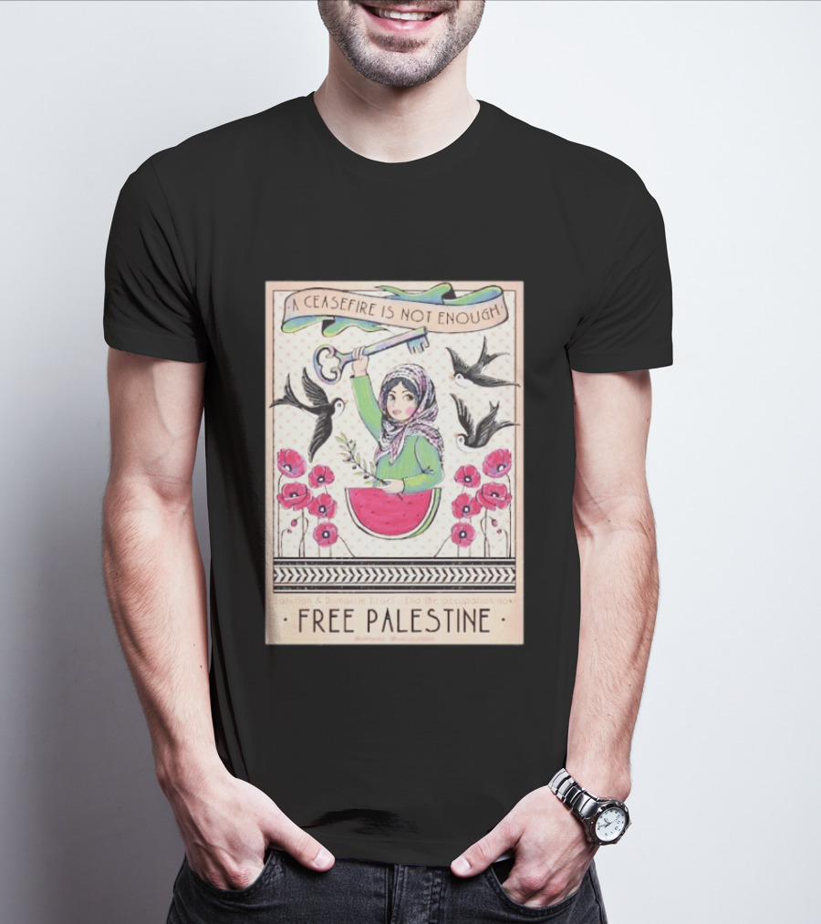 A Ceasefire Is Not Enough Free Palestine Sanction And Dismantle Israel End The Occupation Now T-Shirt
