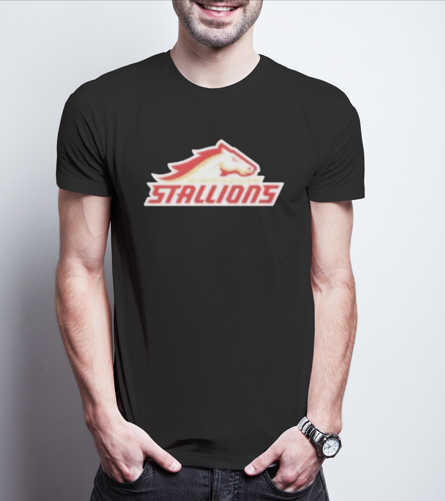 Mintzy Birmingham Stallions Team T-Shirt