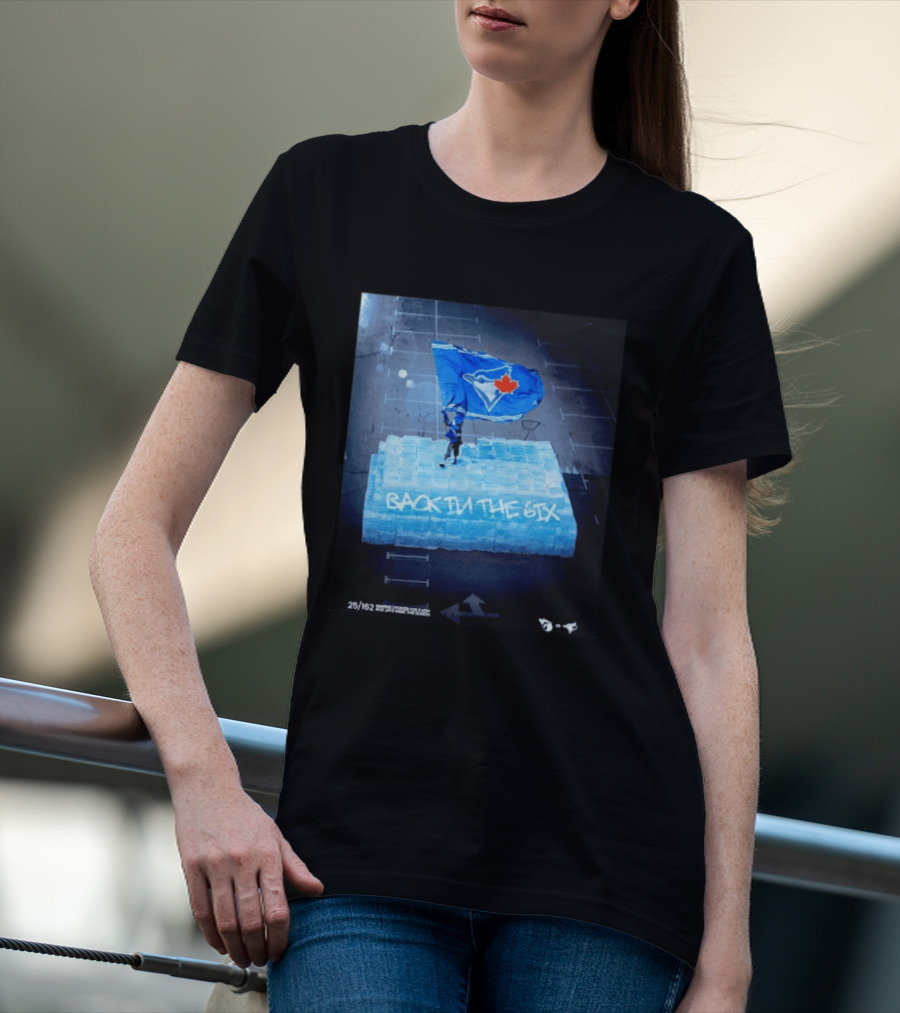 Toronto Blue Jays Back In The 6ix Ice Flag And Blocks T-Shirt