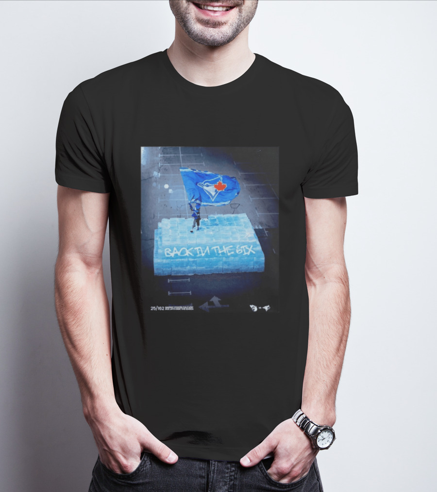 Toronto Blue Jays Back In The 6ix Ice Flag And Blocks T-Shirt