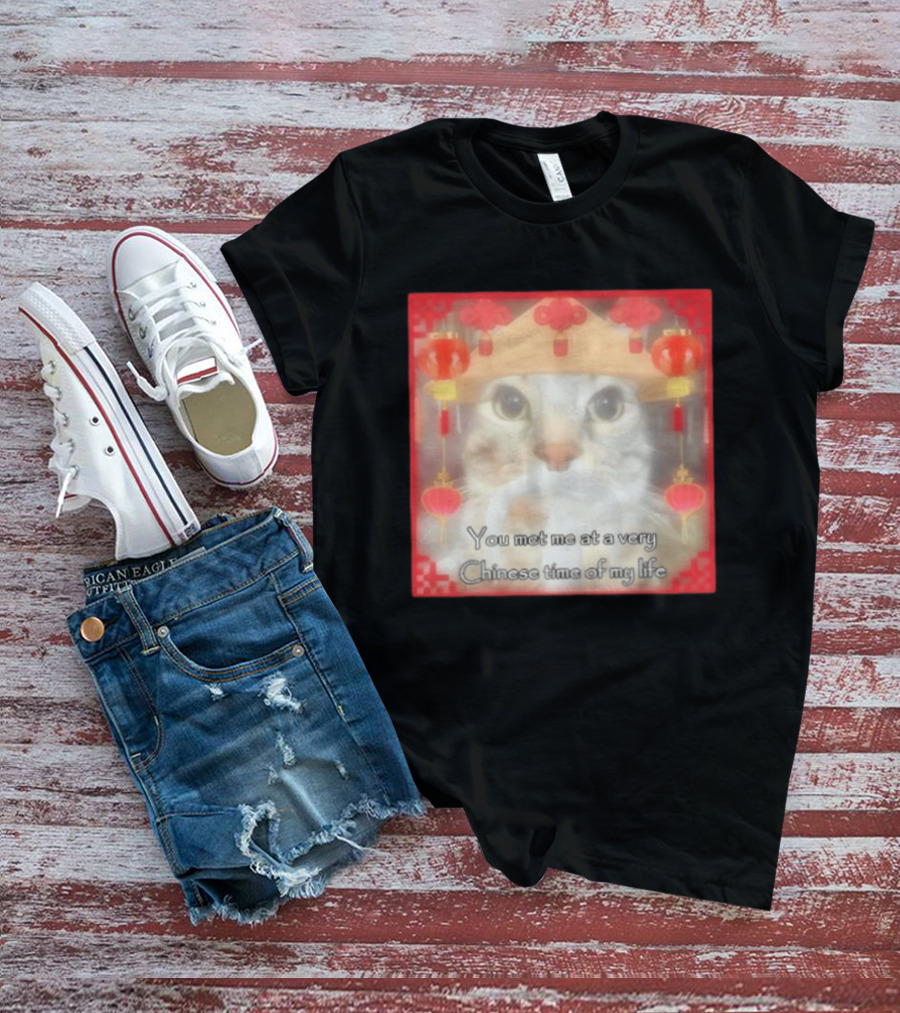 You Met Me At A Very Chinese Time Of My Life Cat Lanterns Hat T-Shirt