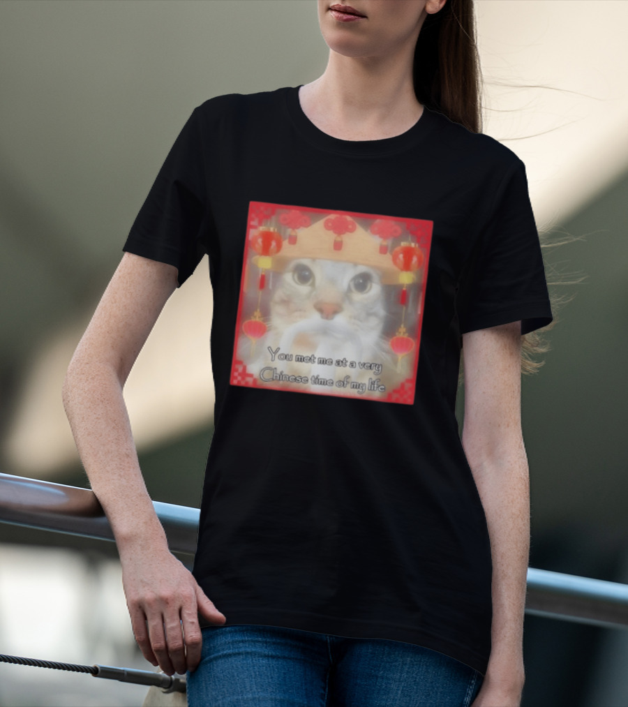 You Met Me At A Very Chinese Time Of My Life Cat Lanterns Hat T-Shirt