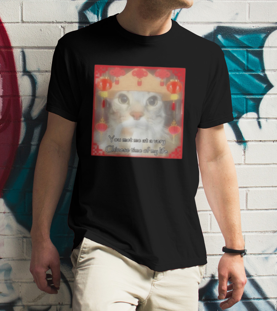 You Met Me At A Very Chinese Time Of My Life Cat Lanterns Hat T-Shirt