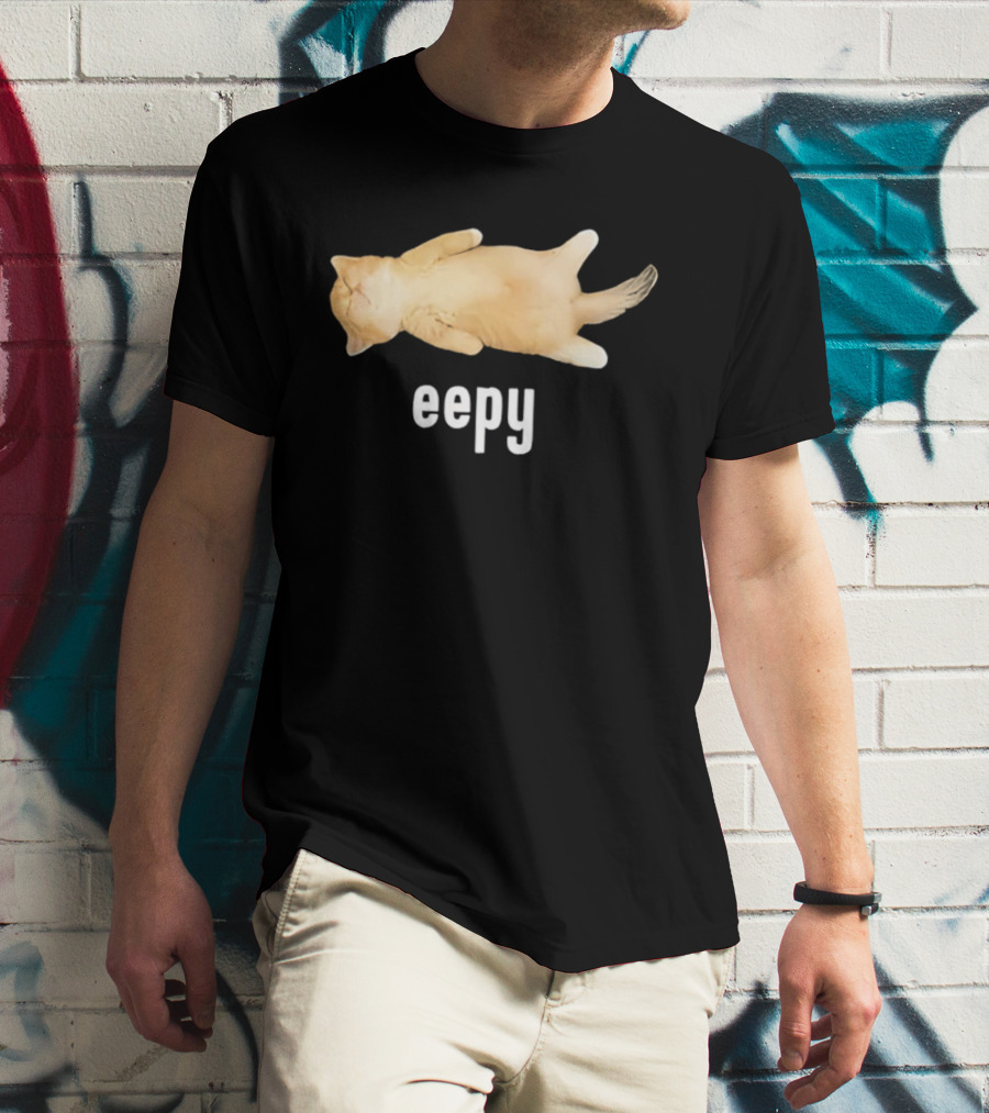 Eepy Sleeping Orange Kitten Cat Meme T-Shirt