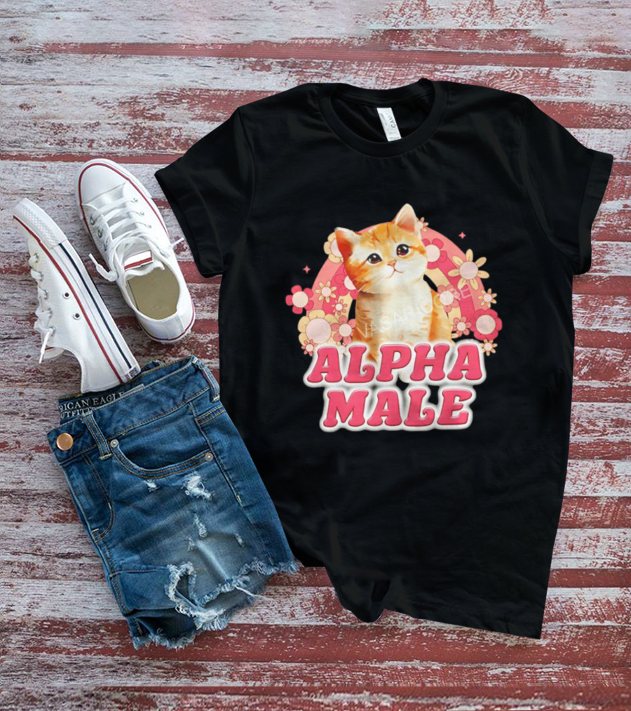 Alpha Male Kitten With Rainbow And Floral T-Shirt