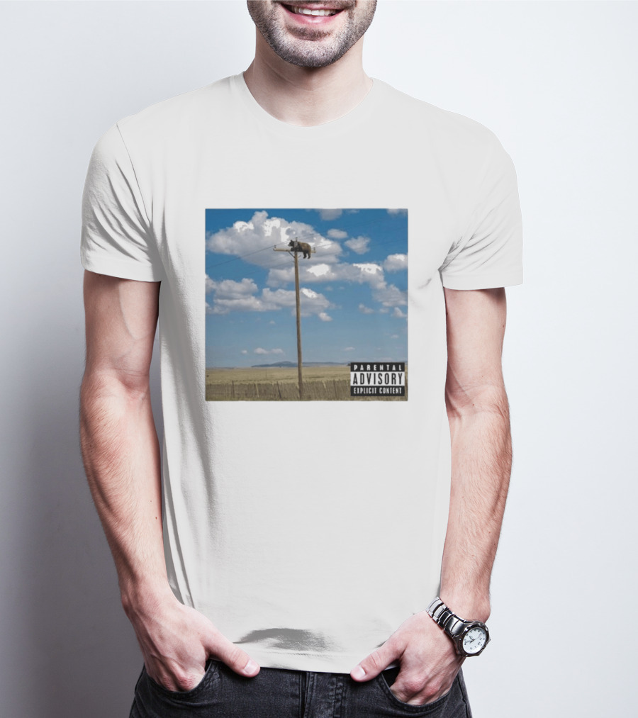 Bear On Top Of The Light Pole Parental Advisory Explicit Content Clouds Sky T-Shirt
