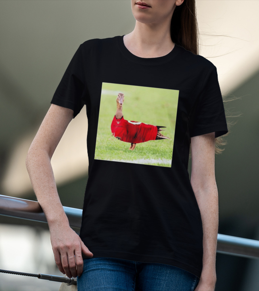 Tampa Bay Buccaneers Duck 2026 Football Fan T-Shirt