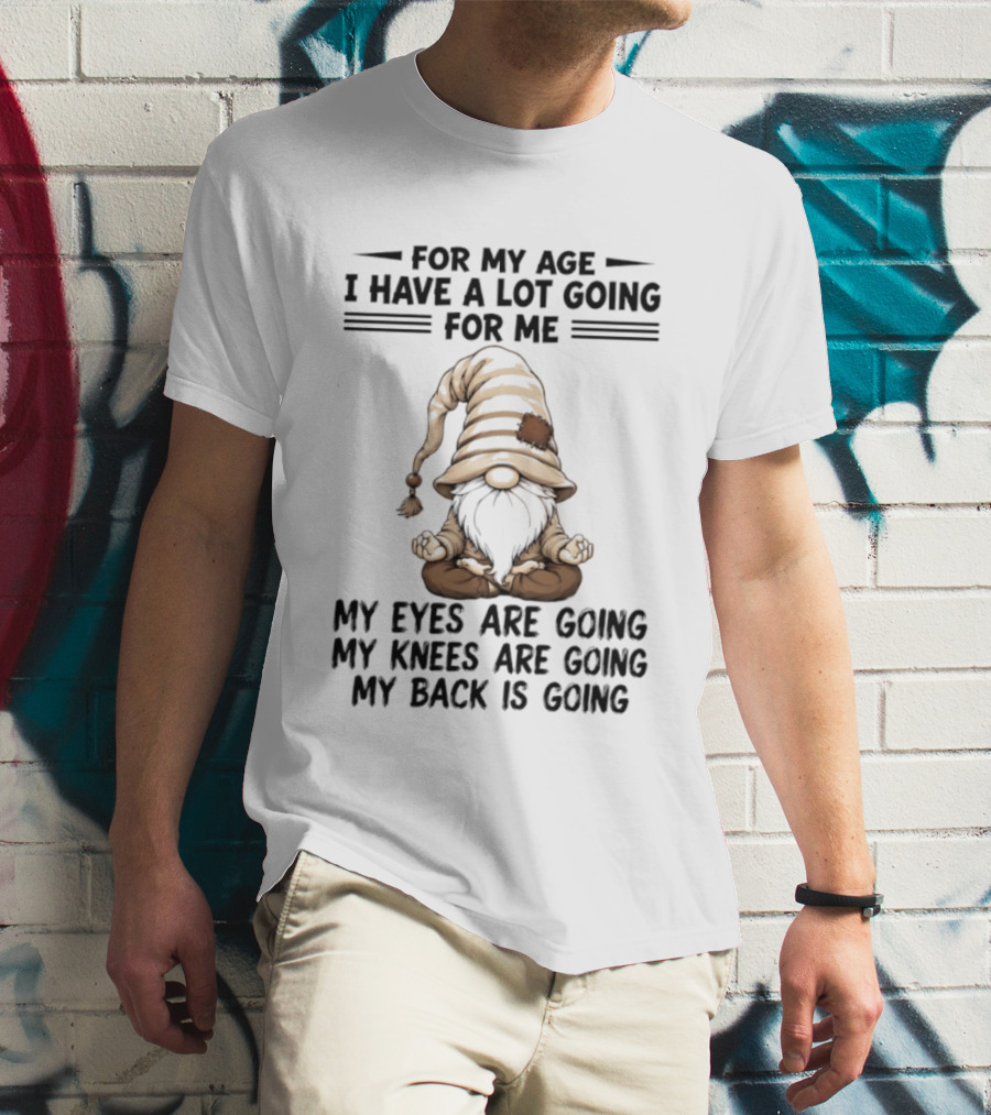 For My Age I Have A Lot Going For Me My Eyes Are Going My Knees Are Going My Back Is Going Gnome T-Shirt