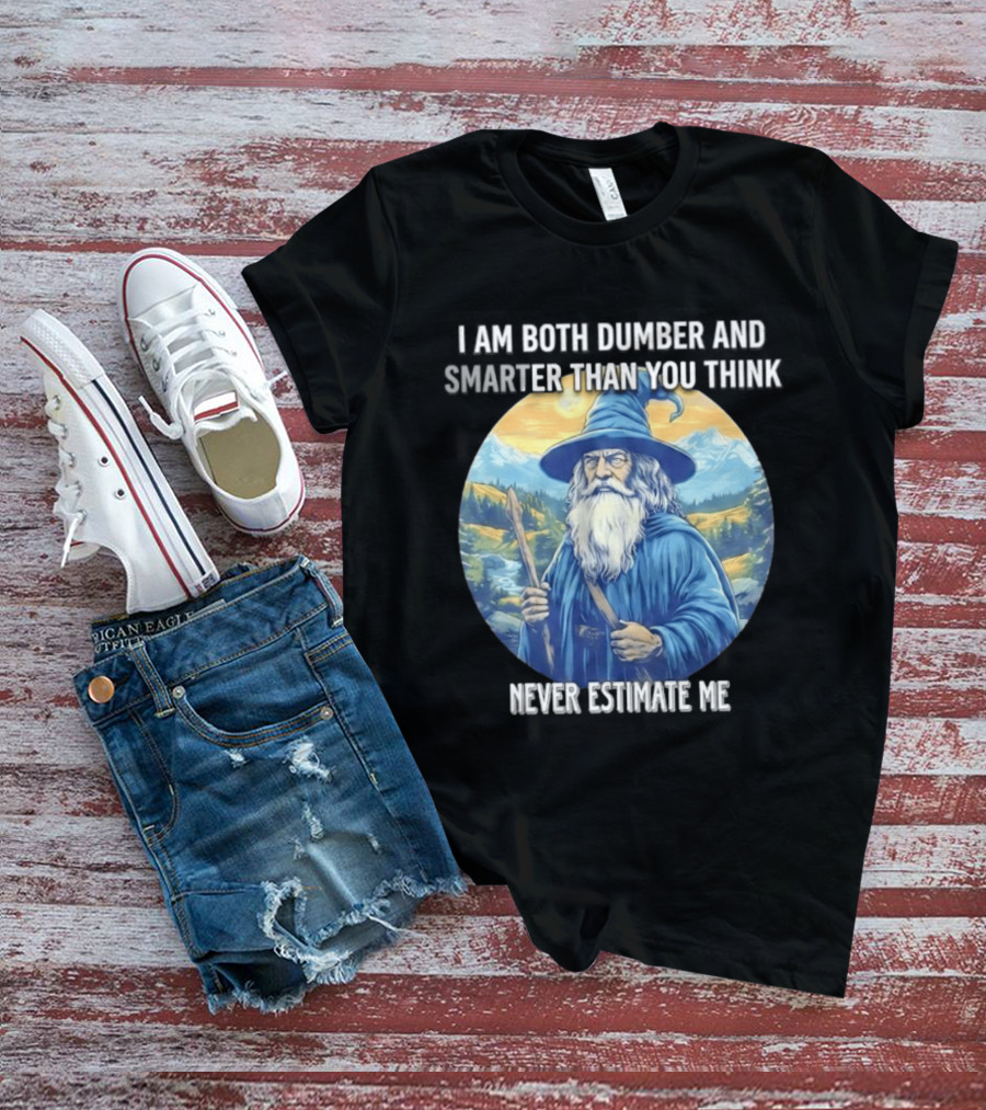 I Am Both Dumber And Smarter Than You Think Never Estimate Me Wizard Blue Robe And Hat Mountain T-Shirt