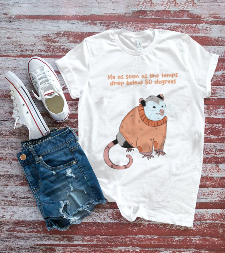Opossum Cozy Sweater Temps Below 80 Degrees T-Shirt