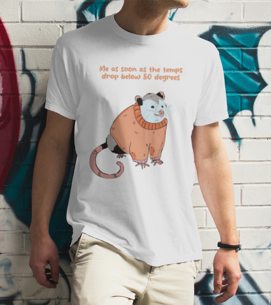 Opossum Cozy Sweater Temps Below 80 Degrees T-Shirt