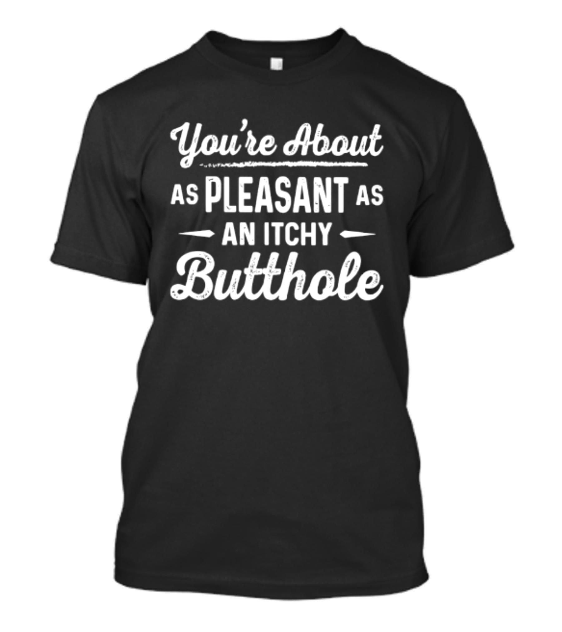 You're About As Pleasant As An Itchy Butthole T-Shirt