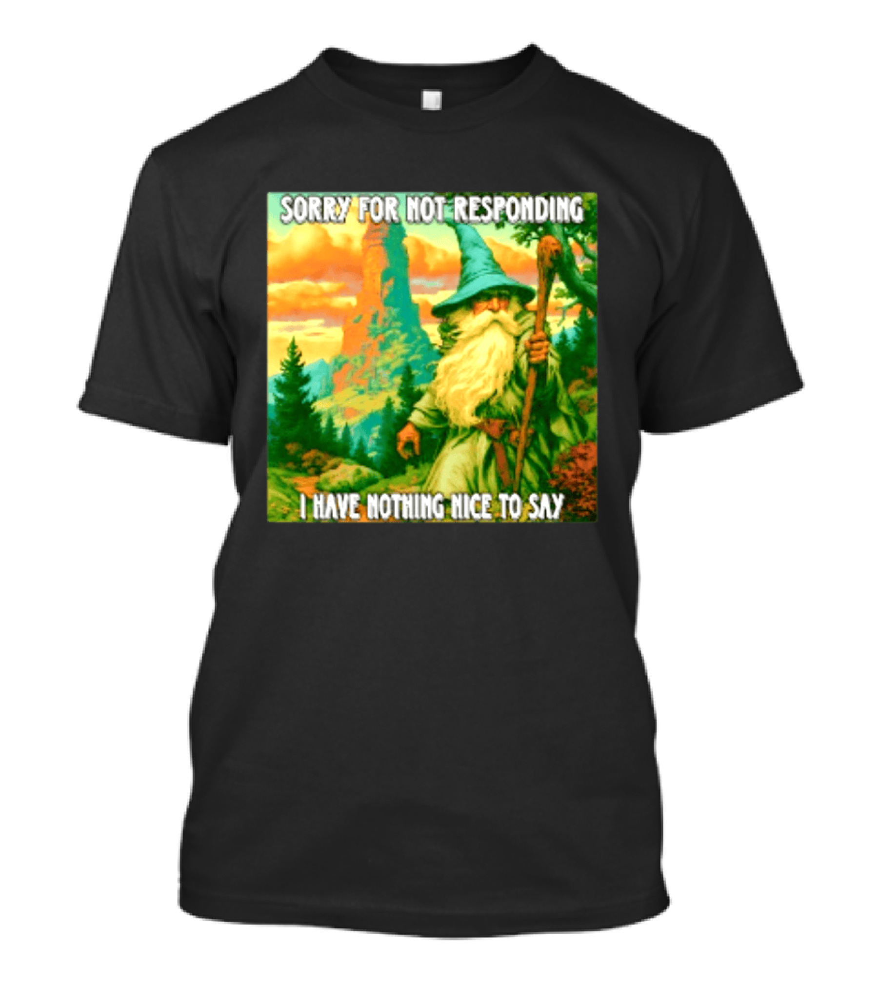 Sorry For Not Responding I Have Nothing Nice To Say Wizard Scene T-Shirt