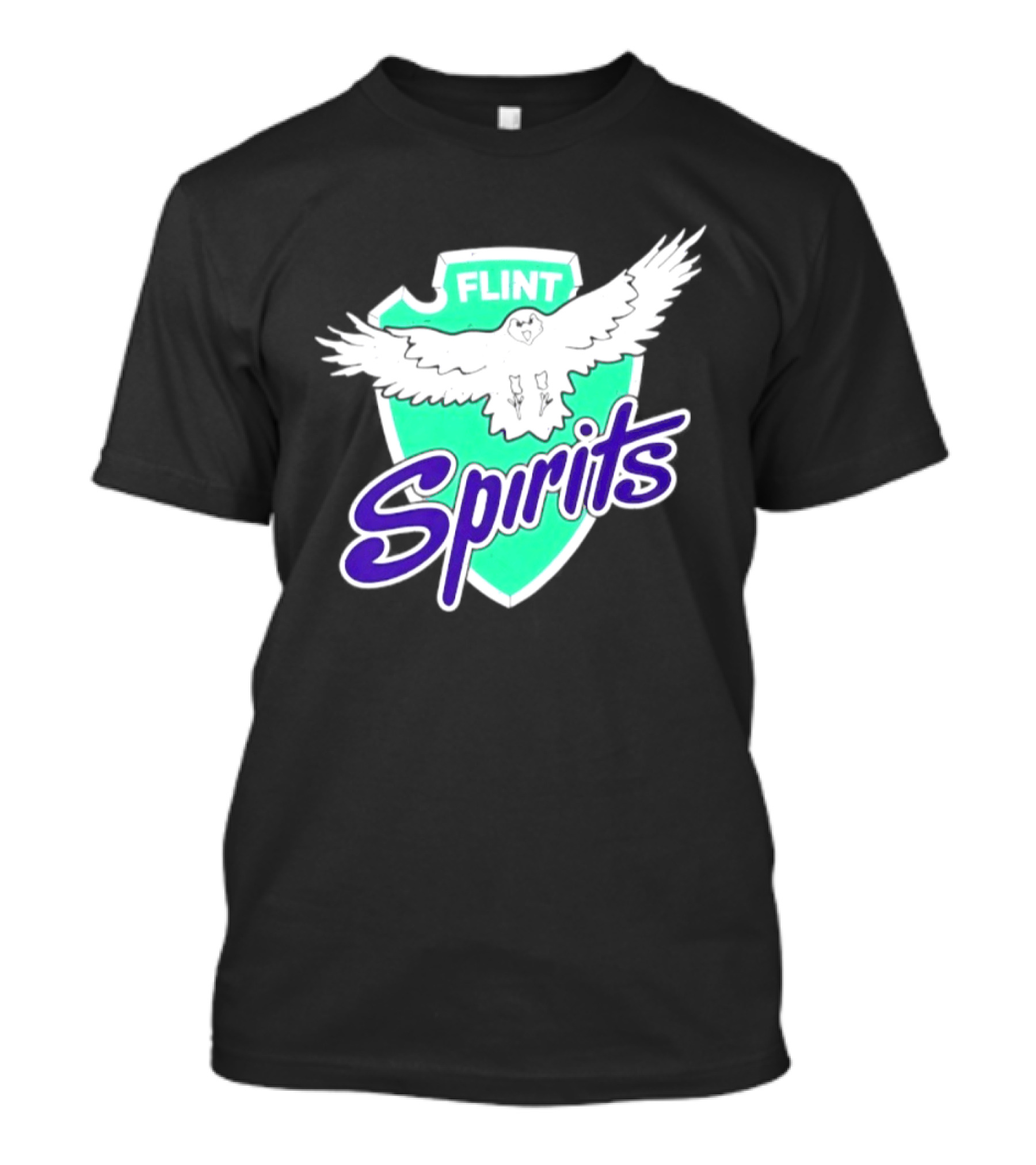 Flint Spirits Eagle Shield Vintage Sports Team T-Shirt