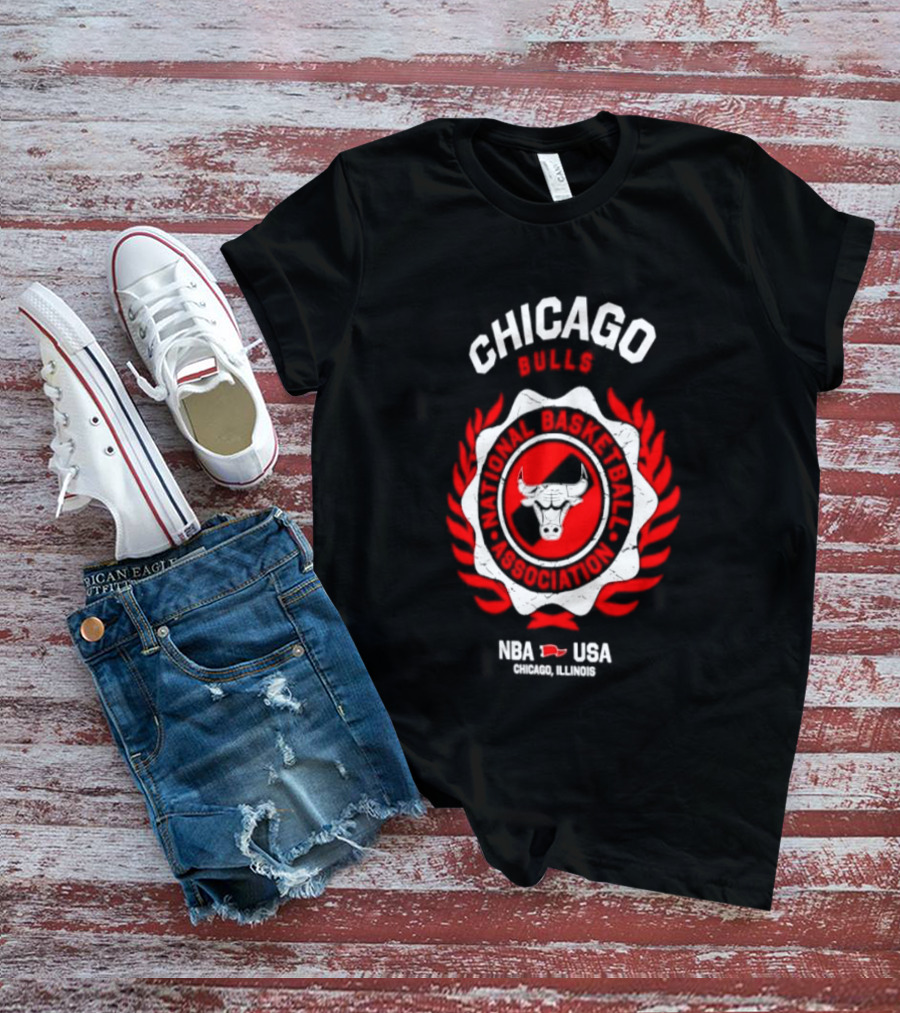 Chicago Bulls NBA USA Central Division Champions Chicago Illinois T-Shirt
