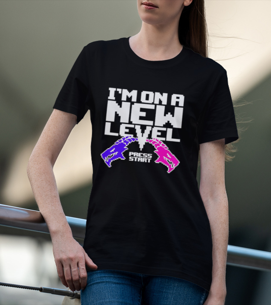 I'm On A New Level Dragons Fight Stuff T-Shirt
