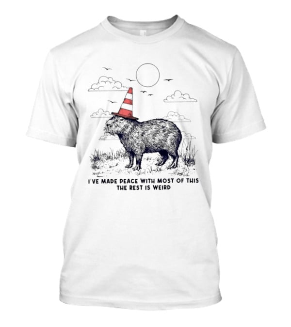 Capybara With Cone Hat Peaceful Yet Weird Scene I've Made Peace With Most Of This T-Shirt