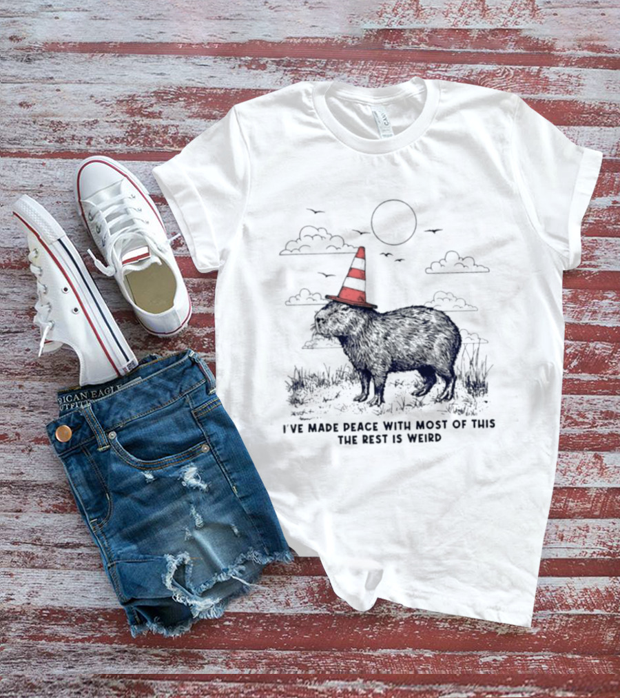 Capybara With Cone Hat Peaceful Yet Weird Scene I've Made Peace With Most Of This T-Shirt