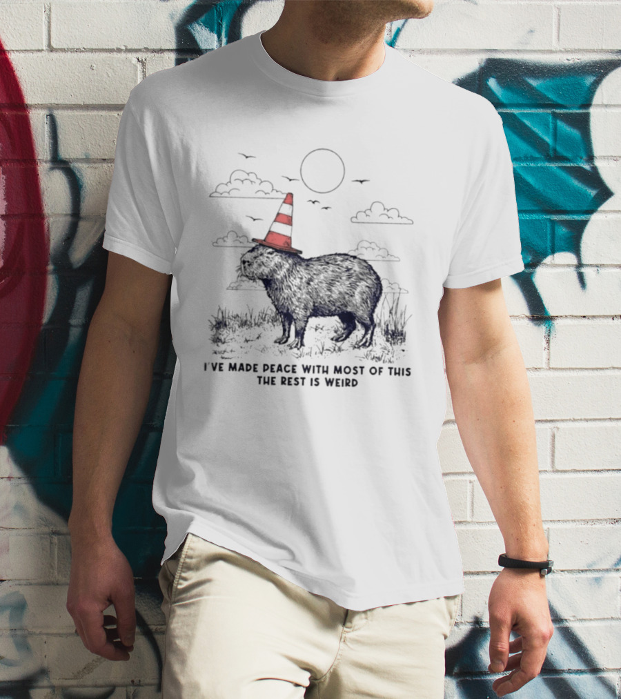 Capybara With Cone Hat Peaceful Yet Weird Scene I've Made Peace With Most Of This T-Shirt