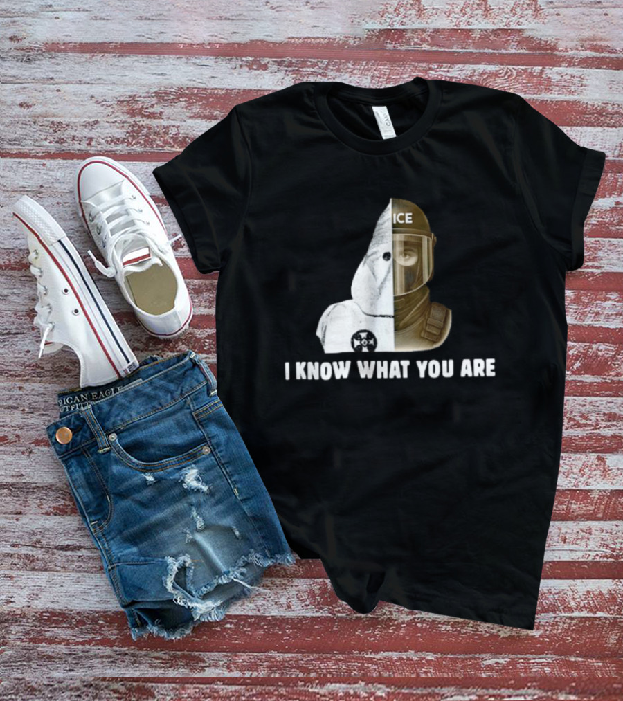 Abolish ICE Social Justice I Know What You Are KKK Comparison T-Shirt