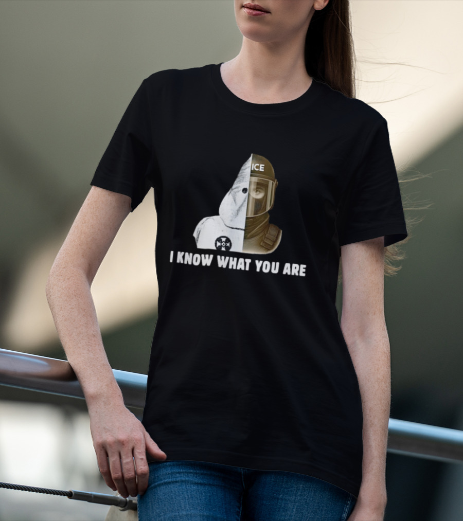 Abolish ICE Social Justice I Know What You Are KKK Comparison T-Shirt