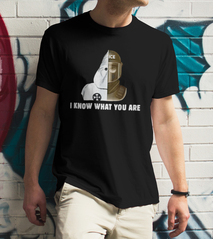 Abolish ICE Social Justice I Know What You Are KKK Comparison T-Shirt