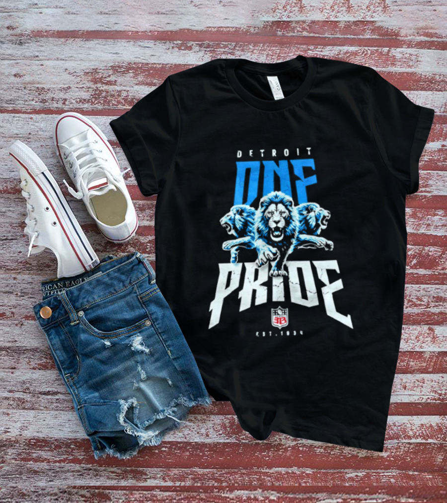 Detroit One Pride 313 Lions Est 1930 T-Shirt