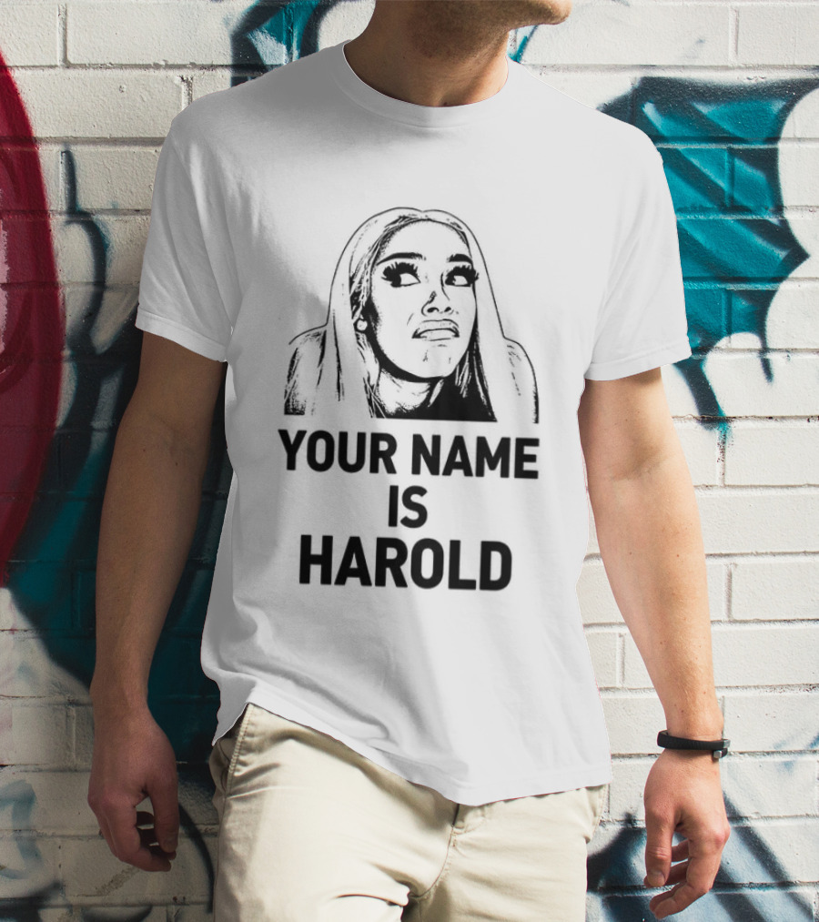 Your Name Is Harold Meme Humor T-Shirt