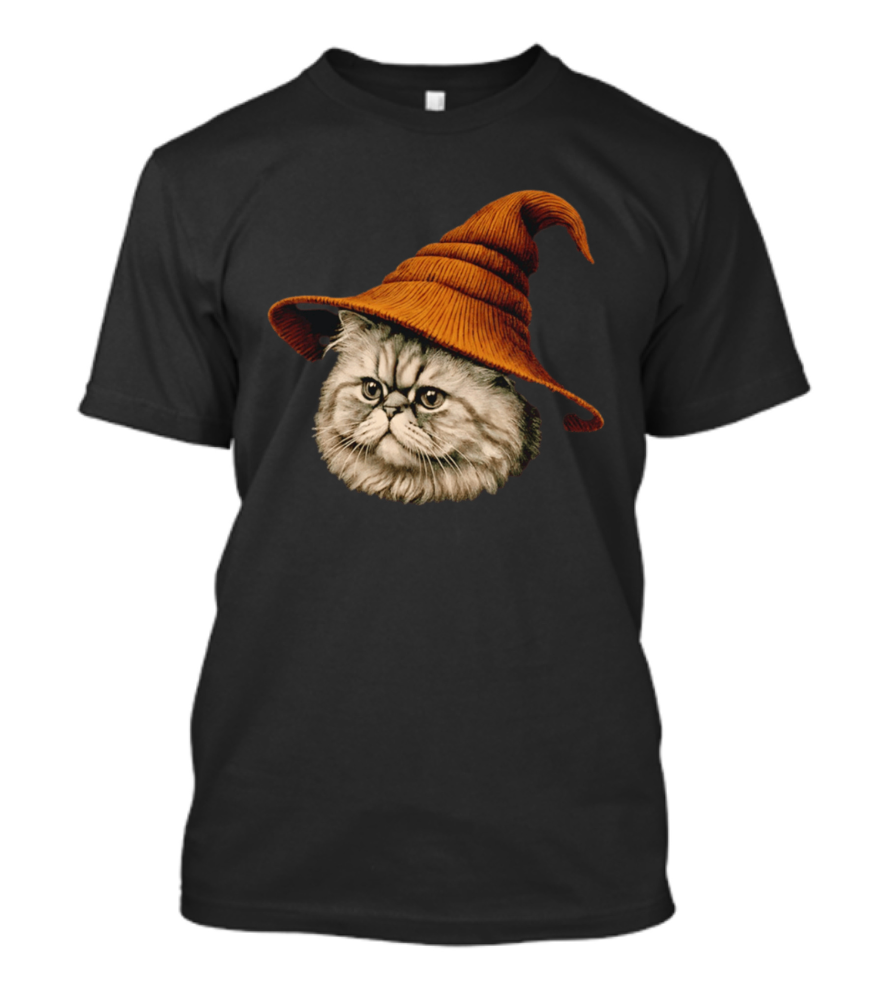 Beanie Cat Wizard Cartoon Plush Orange Hat Feline T-Shirt