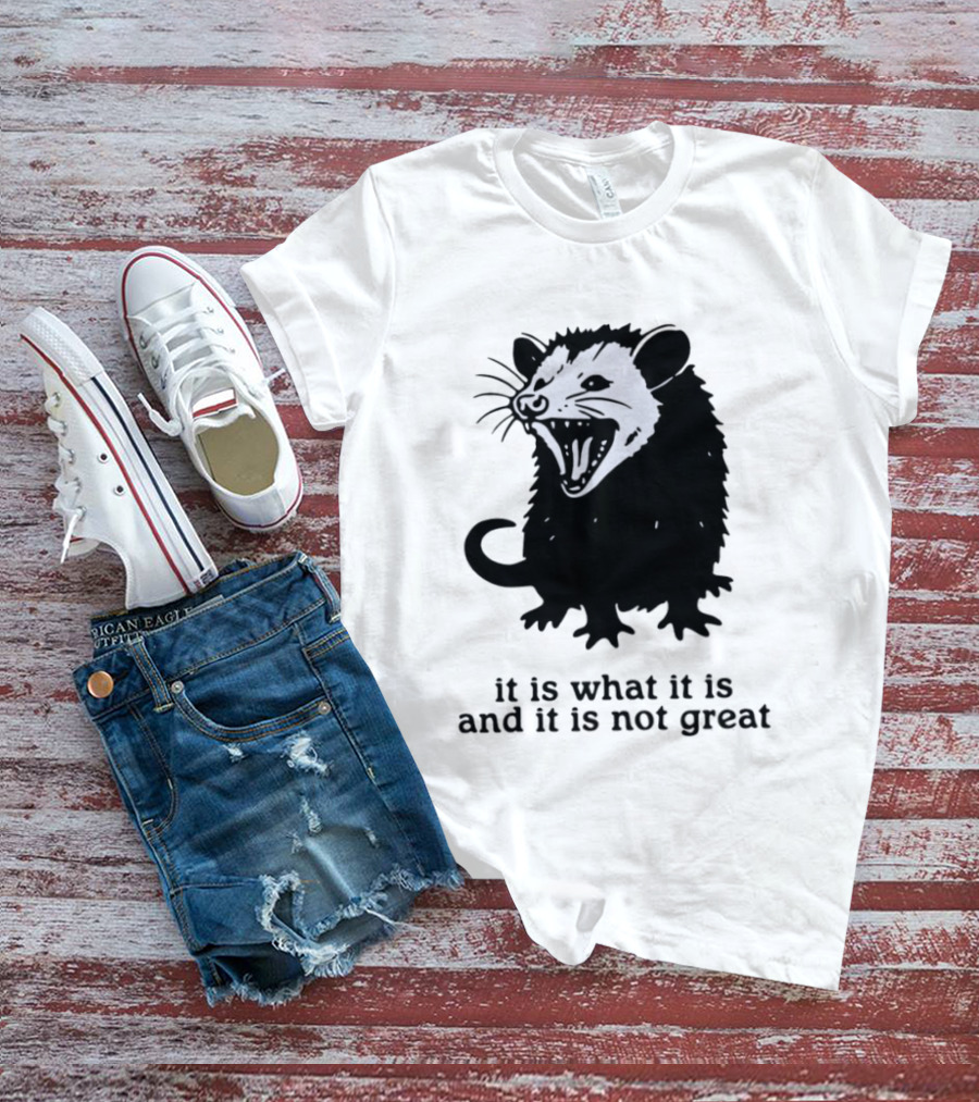It Is What It Is And It Is Not Great Opossum T-Shirt