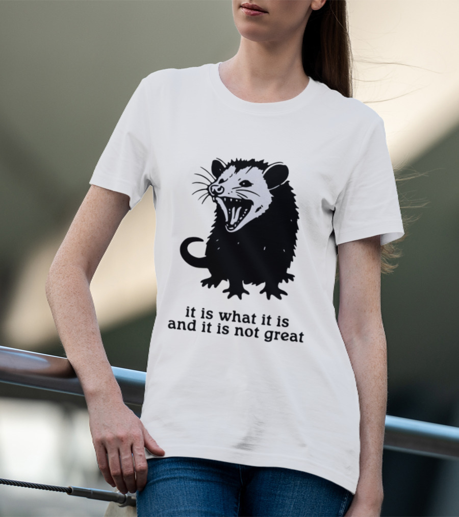 It Is What It Is And It Is Not Great Opossum T-Shirt