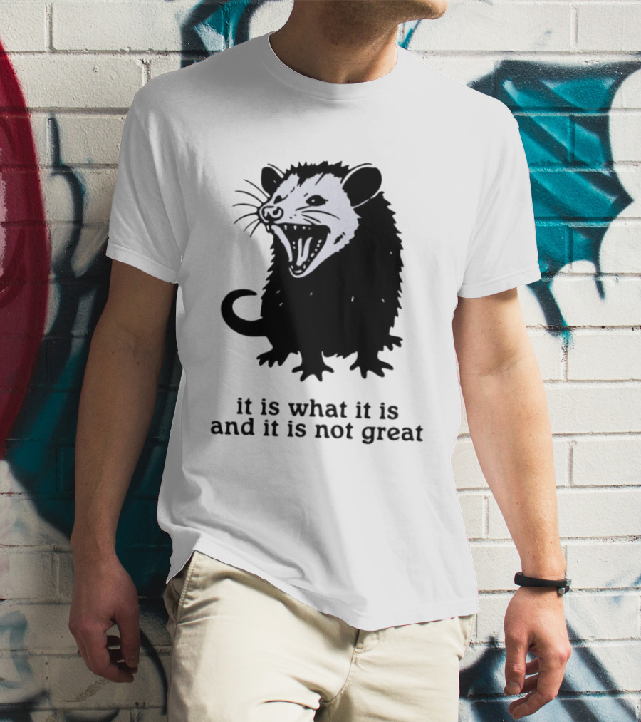 It Is What It Is And It Is Not Great Opossum T-Shirt
