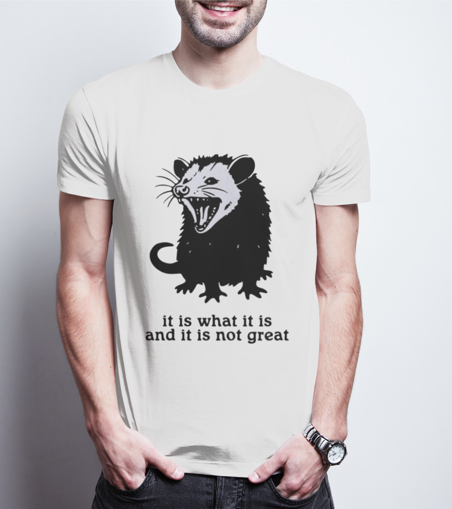 It Is What It Is And It Is Not Great Opossum T-Shirt