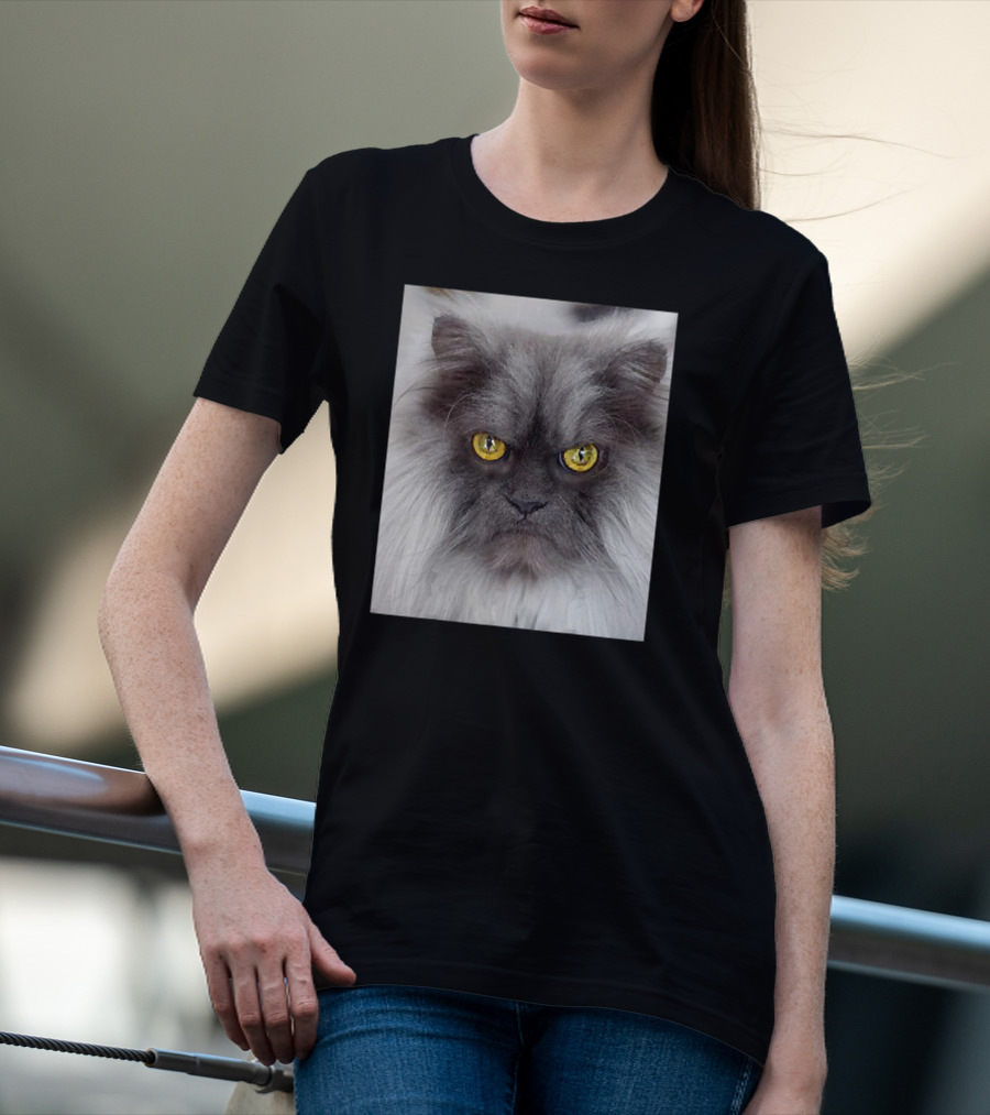 Jun The Angry Cat Golden Eyes Grumpy Expression T-Shirt